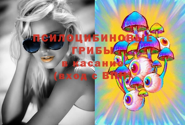 МДПВ Вязьма