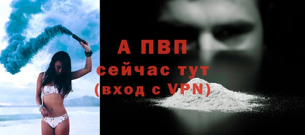 спиды Медвежьегорск