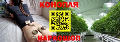 сатива Волжский