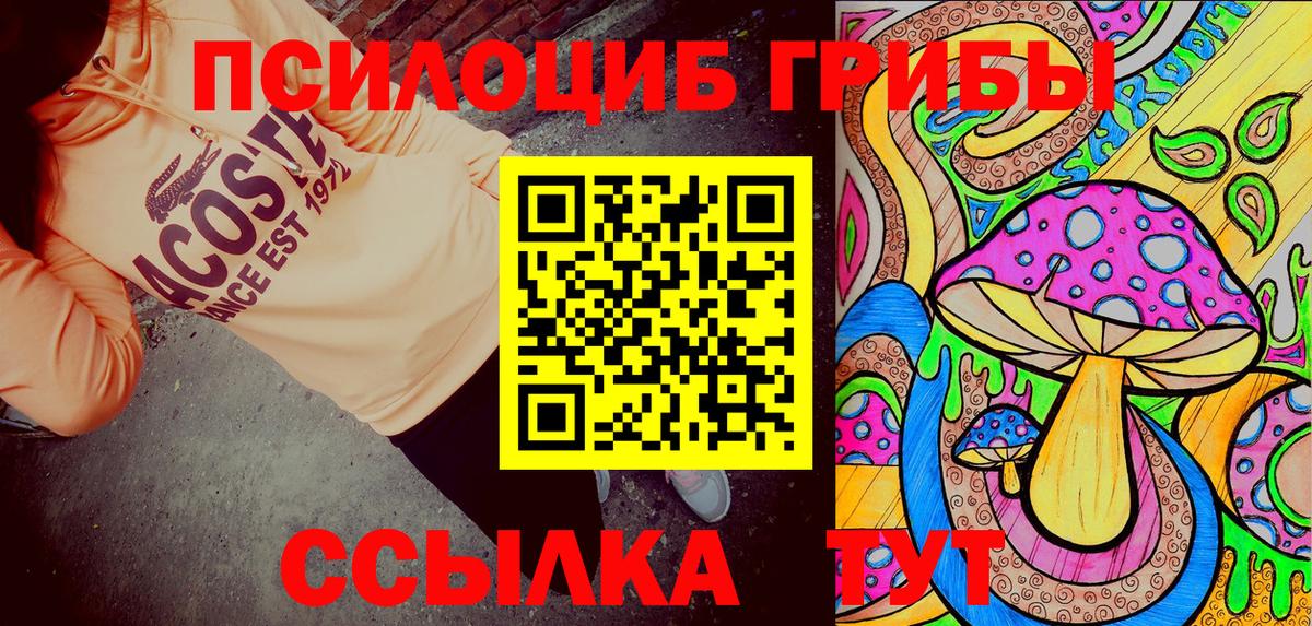 Псилоцибиновые грибы Magic Shrooms  закладки  Галлюциногенные грибы прущие грибы  Заволжье  Вход с VPN 