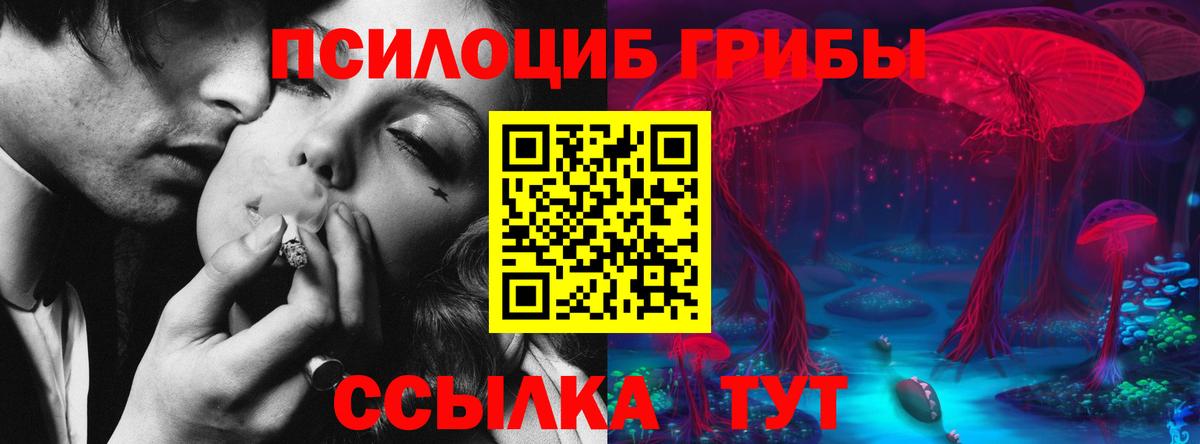 А ПВП Заволжье